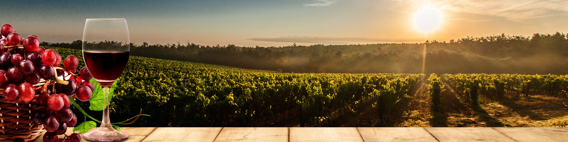 6163银河官方网站(中国)线路检测中心入口